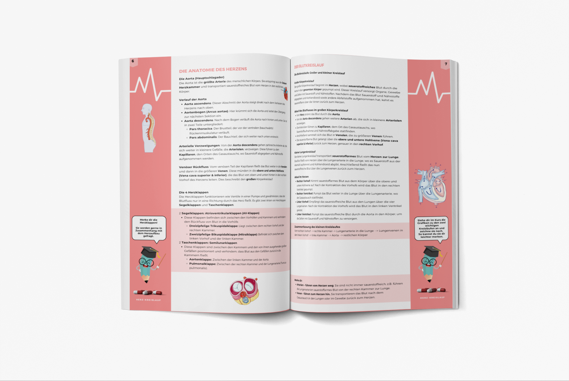 Herz Kreislauf Medizin Skript Pharmareferentenprüfung Pharmig